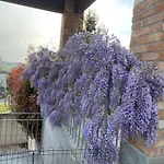 Casa Di Ercolino *