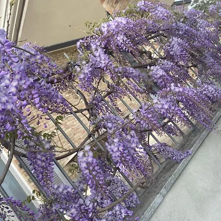 Дом отдыха Casa Di Ercolino *