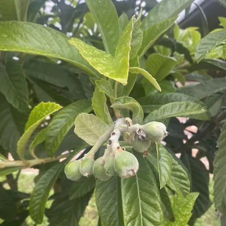 Casa Di Ercolino * Moasca