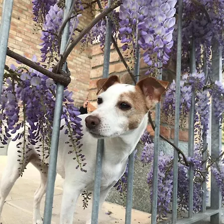 Ferienhaus Casa Di Ercolino