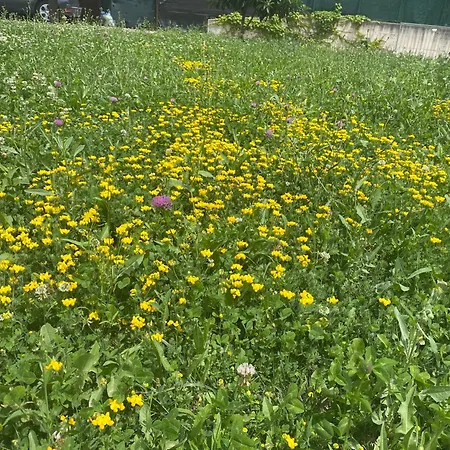 Prázdninový dům Casa Di Ercolino